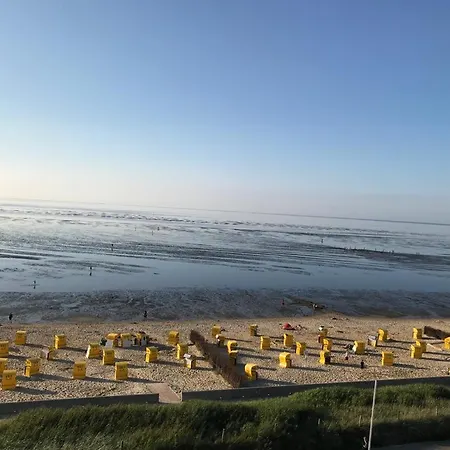 Silbermöwe - Traumhafter Meerblick-3