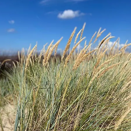 Strandläufer-3