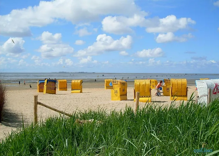 Urlaub in 1. Strandreihe